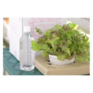 ふるさと納税 セット・詰合せ 宮崎県 日向市 ...の詳細画像5