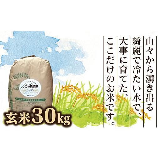 ふるさと納税 山口県 山口市 C047 しのめ清流米　玄米30kg