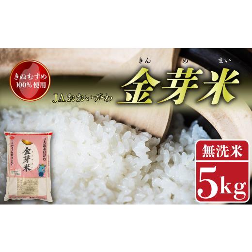 ふるさと納税 米 静岡県 藤枝市 お米 金芽米 5kg お茶 80g セット きぬむすめ 無洗米 静...