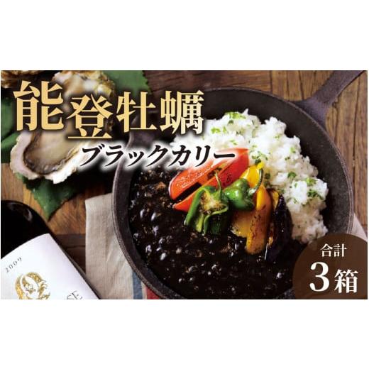 ふるさと納税 惣菜・レトルト 石川県 穴水町 能登の食材をふんだんに使用 能登牡蠣ブラックカリー｜カ...