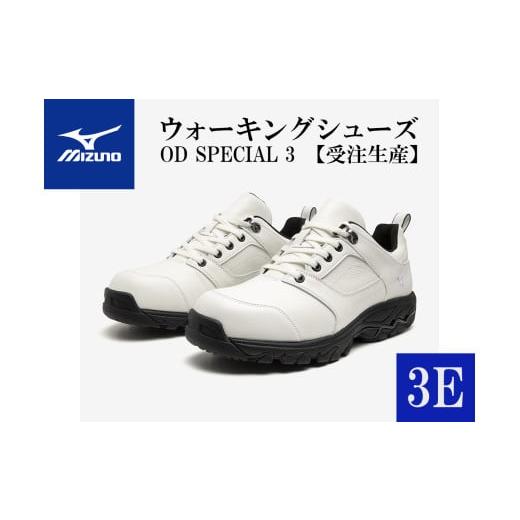 ふるさと納税 ファッション 靴 兵庫県 宍粟市 AO3　ミズノウォーキングシューズ ホワイト3E O...