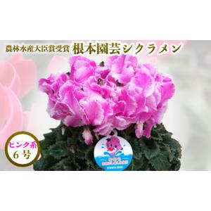 ふるさと納税 雑貨・日用品 花 福島県 南相馬市...の商品画像
