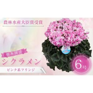 ふるさと納税 雑貨・日用品 花 福島県 南相馬...の詳細画像1
