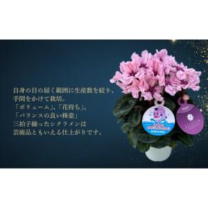 ふるさと納税 雑貨・日用品 花 福島県 南相馬...の詳細画像3