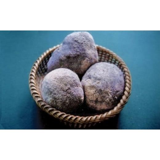 ふるさと納税 兵庫県 加東市 加東市の山の芋　2kg　