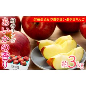 ふるさと納税 りんご 長野県 箕輪町  りんご あいかの香り 約3kg セット 2025年 令和7年度発送分 リンゴ 林檎 長野 フルーツ 果物 信州産 長野県産 特産 産地…