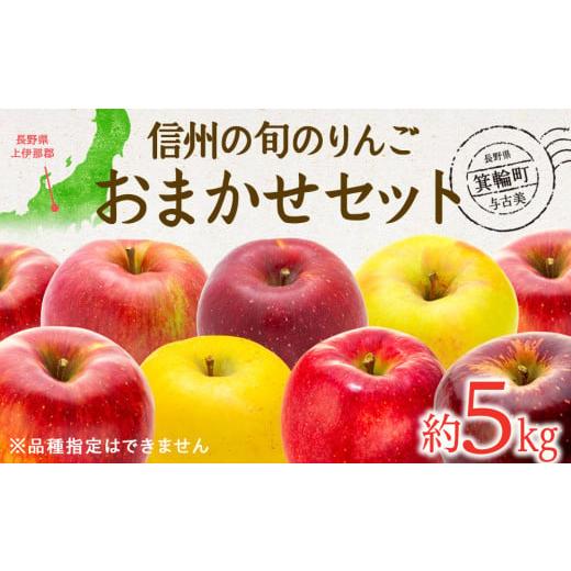 ふるさと納税 長野県 箕輪町 【2024年／令和6年度発送分！先行予約】信州の旬のりんごおまかせ約5...