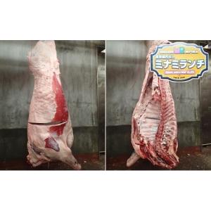 ふるさと納税 牛肉 サーロイン 北海道 美深町 北海道美深産 エアリアルビーフ 1頭分フルセット 約300kg No.5894-0208