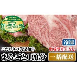 ふるさと納税 牛肉 セット 北海道 美深町 北海道 こだわりの美深和牛1頭分 成型脂カットなし（冷凍） No.5894-0251