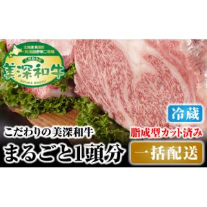ふるさと納税 牛肉 セット 北海道 美深町 北海道 こだわりの美深和牛1頭分 成型脂カットあり（冷蔵） No.5894-0252