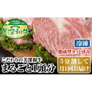 ふるさと納税 牛肉 セット 北海道 美深町 北海道 こだわりの美深和牛1頭分（冷凍）5分割して月1回お届け No.5894-0255