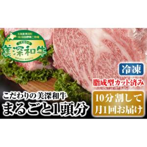 ふるさと納税 牛肉 セット 北海道 美深町 北海道 こだわりの美深和牛1頭分（冷凍）10分割して月1回お届け No.5894-0256