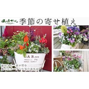 ふるさと納税 雑貨・日用品 花 宮崎県 小林市...の詳細画像1