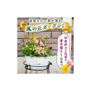 ふるさと納税 雑貨・日用品 花 宮崎県 小林市...の詳細画像2