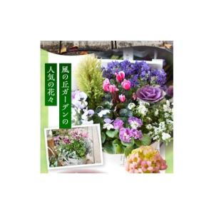 ふるさと納税 雑貨・日用品 花 宮崎県 小林市...の詳細画像3