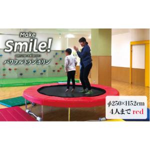 ふるさと納税 雑貨・日用品 福岡県 糸島市 パ...の詳細画像1