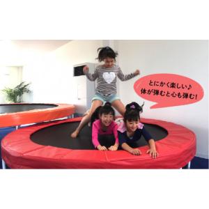 ふるさと納税 雑貨・日用品 福岡県 糸島市 パ...の詳細画像3
