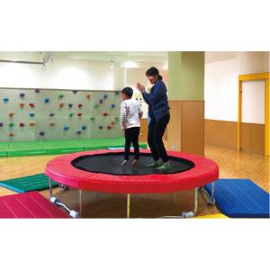 ふるさと納税 雑貨・日用品 福岡県 糸島市 パ...の詳細画像4