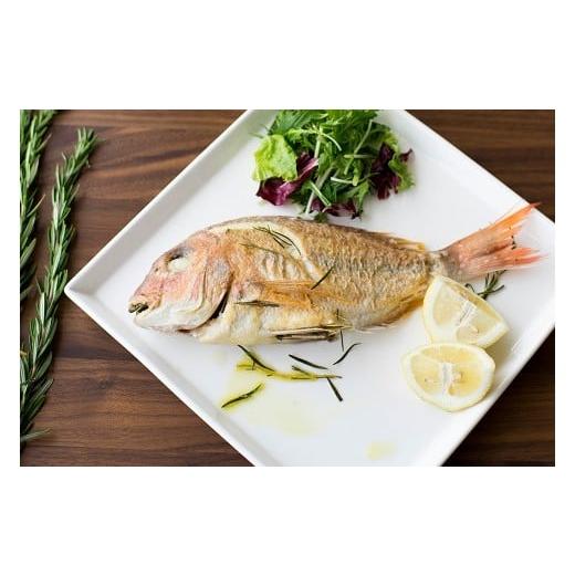 ふるさと納税 お食事券 和歌山県 有田市 316 みかん海道の山上の天空レストラン「TestiMon...