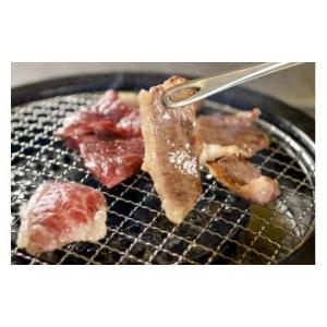 ふるさと納税 福岡県 嘉麻市 赤崎牛 【 特選 カルビ 】約500g 焼肉用 牛肉