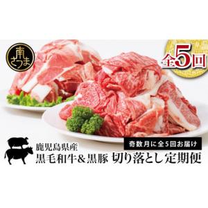 ふるさと納税 牛肉 炒め物 鹿児島県 南さつま市  モリモリ定期便 鹿児島県産 黒毛和牛＆黒豚 切落し 定期便 （全5回）切り落とし 牛丼 肉じゃが カレー 炒め物…｜ふるさとチョイス