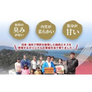 ふるさと納税 豚肉 熊本県 上天草市 (飼育期...の詳細画像3