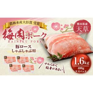 ふるさと納税 豚肉 ロース 熊本県 上天草市 (...の商品画像