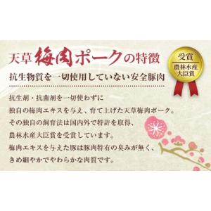 ふるさと納税 豚肉 ロース 熊本県 上天草市 ...の詳細画像2