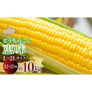 ふるさと納税 とうもろこし 北海道 壮瞥町  2026年8月初旬よりお届け 約10kg 北海道壮瞥産とうもろこし（恵味） Ｌ〜2Lサイズ 22〜25本 ふるさと納税 人気 お…