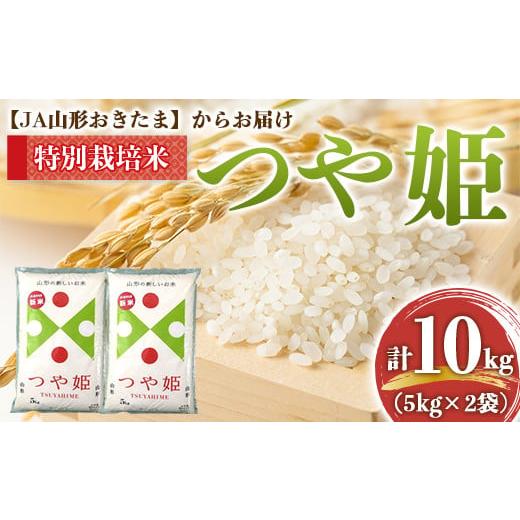 ふるさと納税 米 つや姫 山形県 南陽市 令和6年産 JA 特別栽培米 つや姫 10kg (5kg...