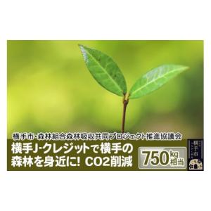 ふるさと納税 秋田県 横手市 横手J‐クレジットで横手の森林を身近に! CO2削減 750kg相当｜furusatochoice