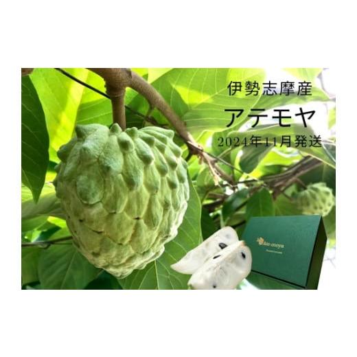 ふるさと納税 三重県 南伊勢町 伊勢志摩産 アテモヤ 3玉入 約1.2kg 令和6年11月分 ／ や...