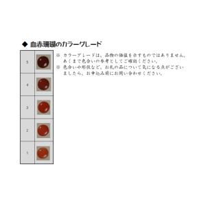 ふるさと納税 伝統技術 高知県 宿毛市 珊瑚職...の詳細画像5