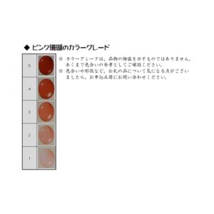 ふるさと納税 伝統技術 高知県 宿毛市 珊瑚職...の詳細画像5