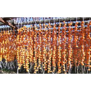 ふるさと納税 果物類 柿 山形県 上山市 紅干...の詳細画像3