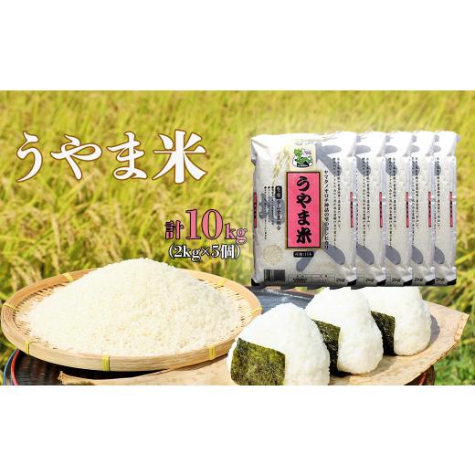 ふるさと納税 島根県 雲南市 神話の里／吉田町「うやま米」コシヒカリ 10kg（2kg×5）【島根県...