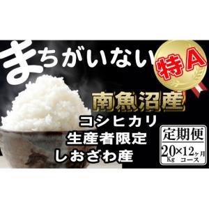 ふるさと納税 米 コシヒカリ 新潟県 南魚沼市...の詳細画像1