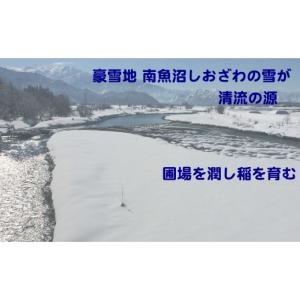 ふるさと納税 米 コシヒカリ 新潟県 南魚沼市...の詳細画像5
