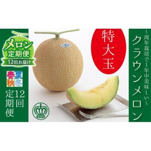 ふるさと納税 メロン メロン青肉 静岡県 森町 メロン定期便 クラウンメロン（白等級） 特大玉 1玉 12ヵ月連続