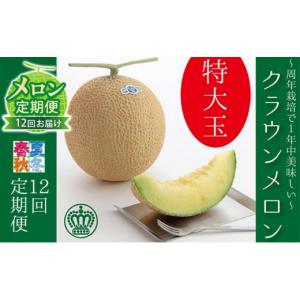 ふるさと納税 メロン メロン青肉 静岡県 森町...の詳細画像1