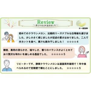 ふるさと納税 メロン メロン青肉 静岡県 森町...の詳細画像5