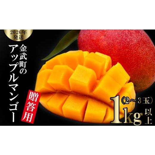 ふるさと納税 マンゴー 沖縄県 金武町  2026年発送 金武町のアップルマンゴー 贈答用 1kg以...