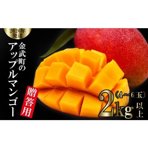 ふるさと納税 マンゴー 沖縄県 金武町  2026年発送 金武町のアップルマンゴー 贈答用 2kg以...