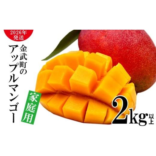 ふるさと納税 マンゴー 沖縄県 金武町  2026年発送 農家さん直送 アップルマンゴー2kg以上　...