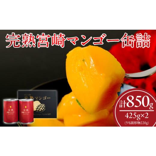 ふるさと納税 缶詰・瓶詰 くだもの 宮崎県 日南市 完熟 宮崎 マンゴー 缶詰 2缶 セット フルー...
