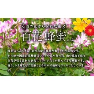 ふるさと納税 加工品等 はちみつ 福岡県 八女...の詳細画像2