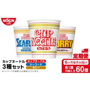 ふるさと納税 麺類 北海道 千歳市 定期便6か月...の商品画像