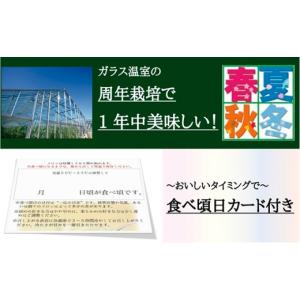 ふるさと納税 メロン メロン青肉 静岡県 浜松...の詳細画像5