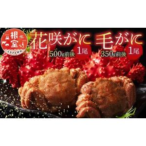 ふるさと納税 北海道 根室市 A-54004 花咲がに1尾、毛がに1尾セット