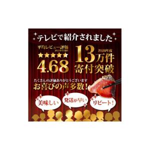 ふるさと納税 カツオ 高知県 芸西村 訳あり ...の詳細画像2